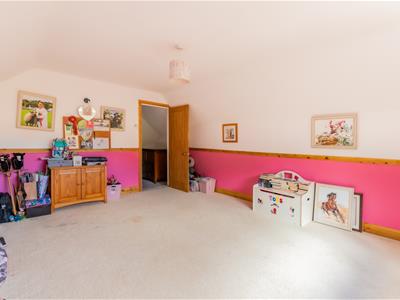 Picture 38